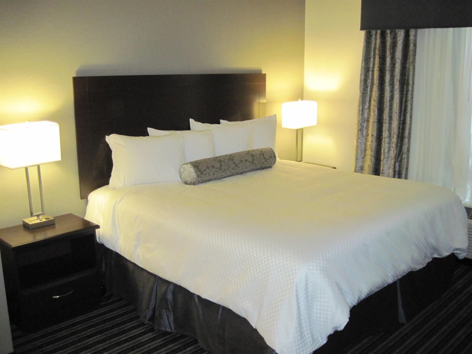 Best Western Plus Austin Airport Inn & Suites מראה חיצוני תמונה
